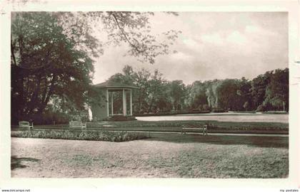 Guestrow Mecklenburg Vorpommern Im Rosengarten