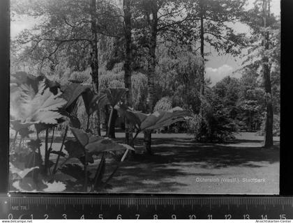 30027429 - Guetersloh