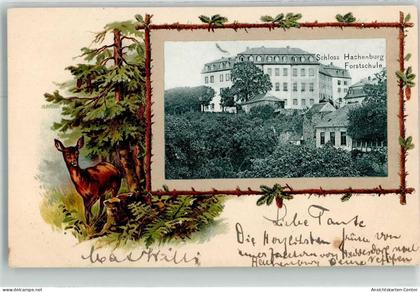 13484057 - Hachenburg