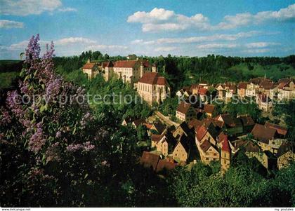Haigerloch Blick auf Schlosskirche und Schloss Baumbluete