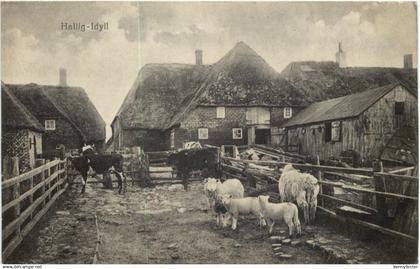 Hallig-Idyll