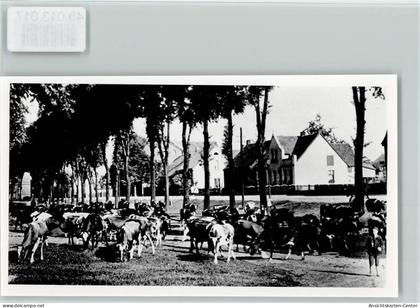 40013017 - Haltern , Westf