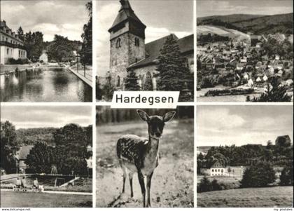 Hardegsen Solling Reh