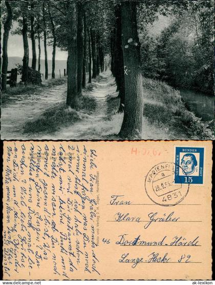 Ansichtskarte Harsewinkel Wanderweg an der Lutter 1963  b. Gütersloh