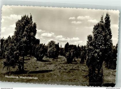 39731750 - Haseluenne