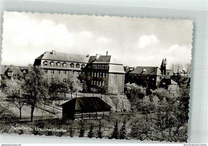 39731759 - Haseluenne