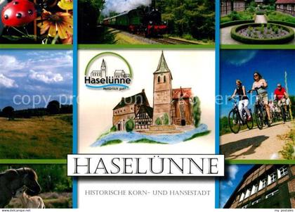 Haseluenne Historische Korn und Hansestadt Landschaftspanorama Pferde Dampflokom