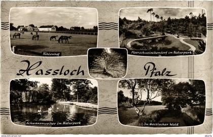 CPA Gruss aus Hassloch GERMANY (898757)