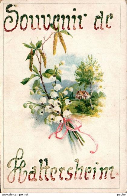 N°34392 W -cpa souvenir de Hattersheim