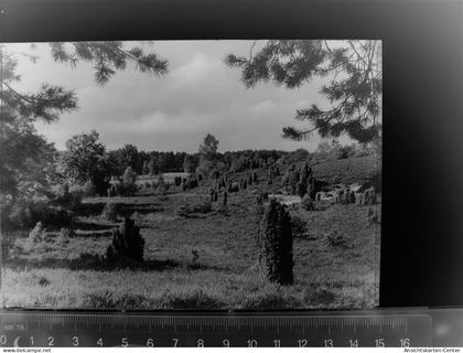 30084432 - Heide , Holst