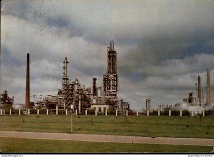 50481262 - Heide , Holst