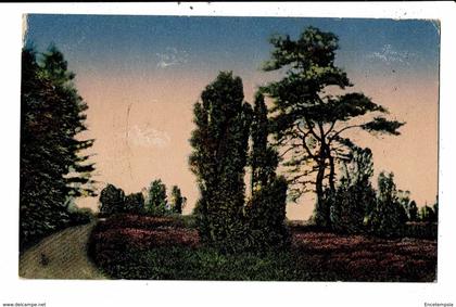 CPA-Carte Postale-Germany-Schleswig-Holstein -Heide -GruB aus der Heide 1918-VM9418