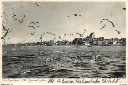 Heiligenhafen Ostseebad Panorama