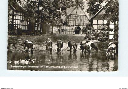 Herford Ravensberger Schwarzenmoor