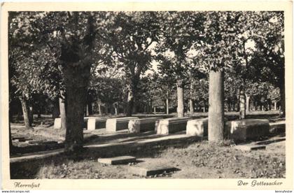 Herrnhut - Gottesacker