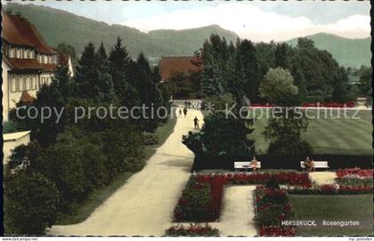 Hersbruck Bayern Rosengarten