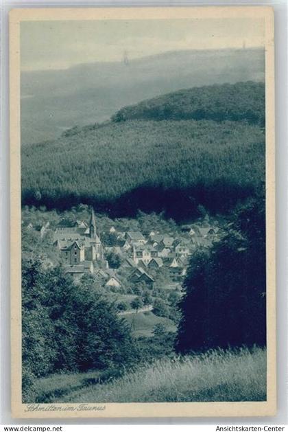 51150939 - Schmitten , Taunus