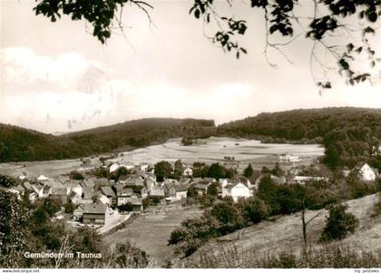 Gemuenden Taunus Panorama