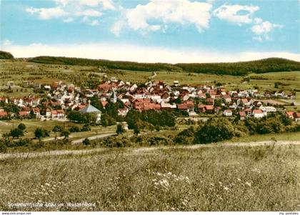 Lahr Westerwald Waldbrunn Panorama