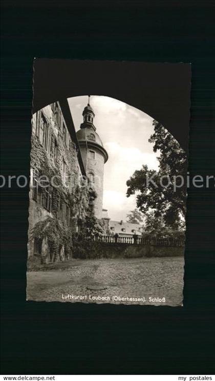 Laubach Hessen Schloss
