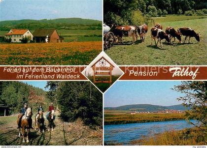 Wellen Waldeck Pension Talhof Reiter Weiderinder Panorama