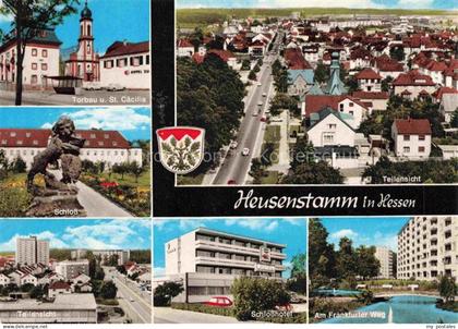 Heusenstamm Torbau und St Caecilia Schloss Teilaansicht Fliegeraufnahme Schlossh