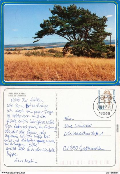 Hiddensee Hiddensjö, Hiddensöe Insel Hiddensee - Partie am Dornbusch 1995