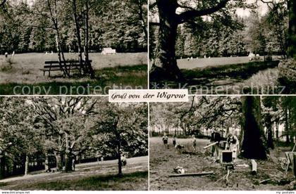 Hilchenbach Motive von der Wigrow