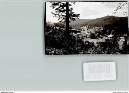 40045409 - Hinterzarten