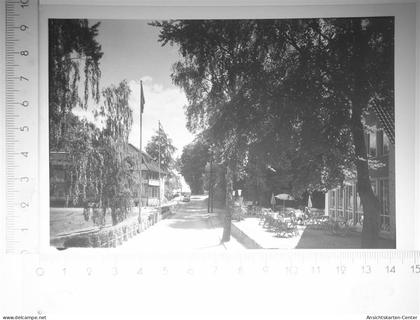 30112613 - Hitzacker Elbe