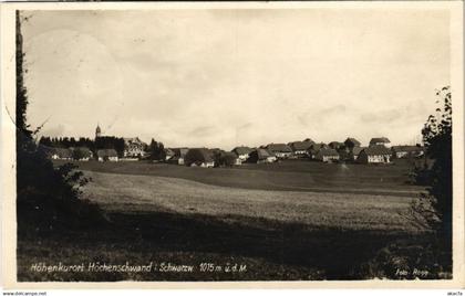 CPA Hochenschwand Hohenluftkurort GERMANY (1019075)
