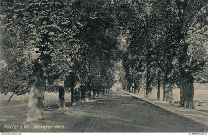 Hoexter - Corveyer Allee 1908