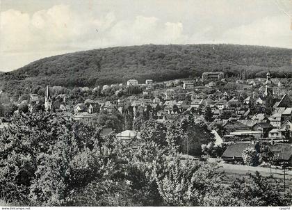 CPM Hofheim am Taunus Blick zum Kapellenberg