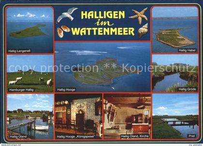 Halligen Nordsee Hallig Groede Priel Hallig Habel