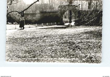 Husum Nordfriesland Husum