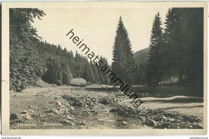 Ilmenau - Schortetal - Foto-Ansichtskarte