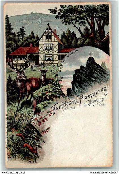 13203949 - Ilsenburg