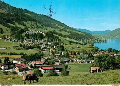 Buehl Alpsee Teilansicht
