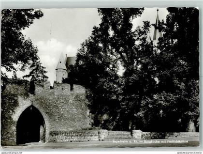 10423285 - Ingelheim am Rhein