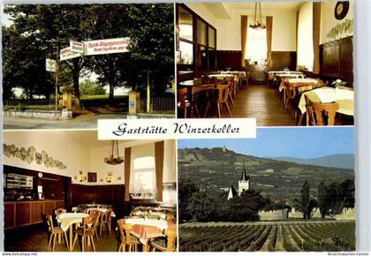 50866589 - Ingelheim am Rhein