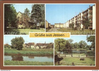 Jessen Elster