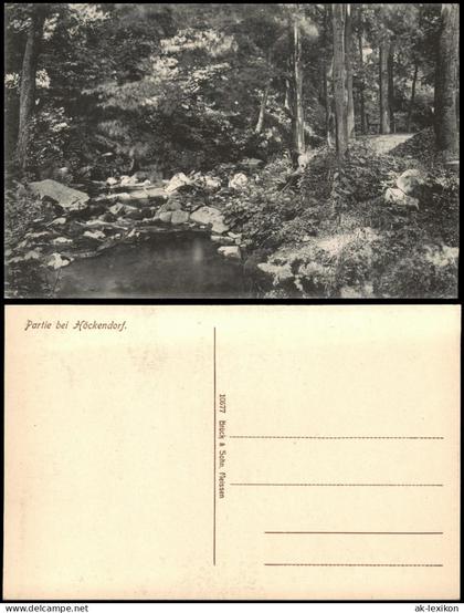 Ansichtskarte Höckendorf-Klingenberg (Sachsen) Partie im Wald 1909