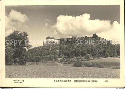 Koenigstein Saechsische Schweiz Festung Fels