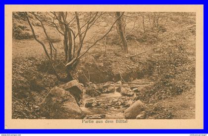 * KONIGSTEIN TAUNUS - KOENIGSTEIN - Partie aus dem Billtal - Verlag SCHILLING