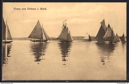 AK Berlin-Köpenick, Müggelsee mit Segelbooten