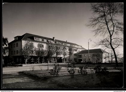 AK Kornwestheim, Strassenpartie mit Bäumen