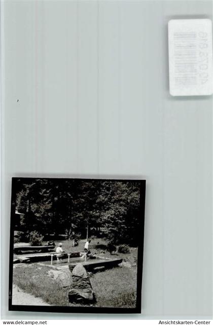 40073816 - Waldhoelzbach