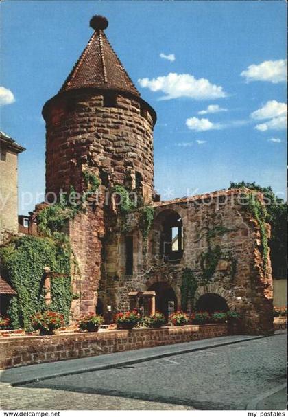 Lahr Schwarzwald Storchenturm