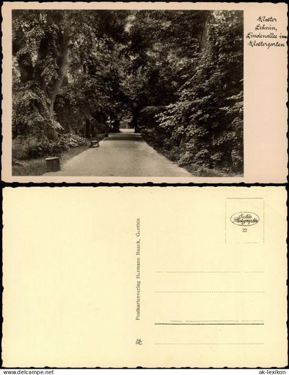 Ansichtskarte Lehnin-Kloster Lehnin Lindenallee im Klostergarten 1920