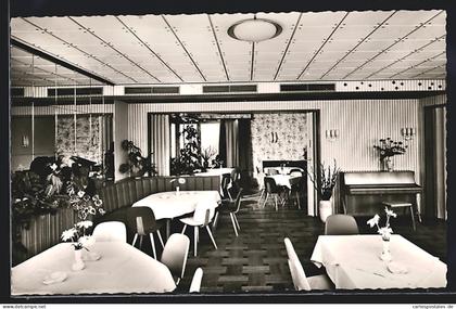 AK Leimen bei Heidelberg, Restaurant und Cafe Traube, St. Ilgener Strasse 9-11